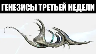 Warframe | Третий выбор инкарнонов Дувири | Болтор ПРАЙМ и Керамический Кинжал 🗡