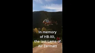 SA315B Lama | HB-XII | Air Zermatt #shorts