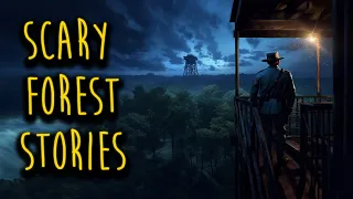 Scary Forest Stories For When It's Dark & Rainy Outside | Park Ranger, National Park, Deep Woods