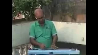 Nainon Me Badra Chhaye (1) Mera Saaya | Amarnath Banik | Electric Steel Guitar.