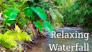 relaxing Calming mountain stream sounds,peaceful birds chirping in the local, best place to relax