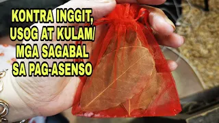 KONTRA INGGIT, USOG AT KULAM /MGA SAGABAL SA PAG-ASENSO-APPLE PAGUIO7