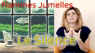 Pourquoi ce silence de ma Flamme Jumelle ?