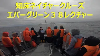 知床ネイチャークルーズ　エバーグリーン３８のスタッフさんによる羅臼の海で遭遇できる生き物レクチャー