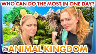 How To Do The MOST In Disney's Animal Kingdom in ONE DAY -- 19 Attractions!