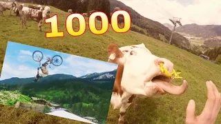 1000 Abo Special - Rückblick