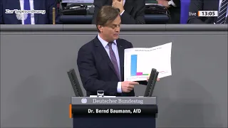 Best of Bundestag 133. Sitzung 2019