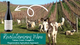 Regenerative Wine: Tablas Creek Vineyard's Regenerative Agriculture Approach