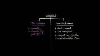 Infectious and non-infectious diseases | Human Health and Disease | Biology | Khan Academy