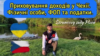 Чи можна приховати свої гроші  від держустанов Чехії та України? Податки для ФОП та фізичних особ.