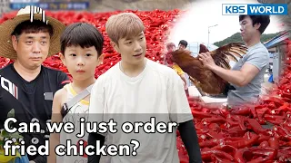 Will they capture the fugitive chicken?🐔🐓🐔🐓 [Mr. House Husband : EP.278-2] | KBS WORLD TV 221029