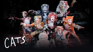 Jellicle Songs (Part 1) | Cats the Musical