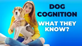 The Fascinating Science of Dog Cognition: What They Know and How They Learn