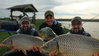 Ловля САЗАНА весною 2024. Почався кльов великих коропів ● RoMaX Fishing ●