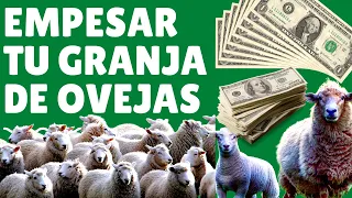 🤑 Guía Paso a Paso Cómo construir una granja de ovejas exitosa:  2023🤑como ganar dinero con ovejas