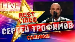 СЕРГЕЙ ТРОФИМОВ — СОЛОВЬИ ❂ LIVE ❂ КОЛЛЕКЦИЯ ЛУЧШИХ ВЫСТУПЛЕНИЙ ❂ BEST VIDEO ❂