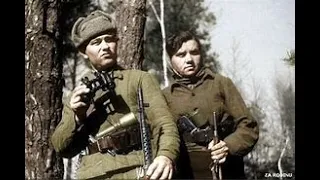 Soviet Partisans The Bogey Man Of The Eastern Front