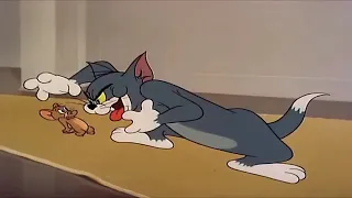 Tom and Jerry new episode, Jerry's cousin is coming to visit