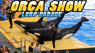 Loro Parque: ORCA OCEAN SHOW - Tenerife 4K