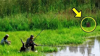 They Were Fishing And Suddenly, A Mysterious Creature Emerges From Tall Grass Towards Them!