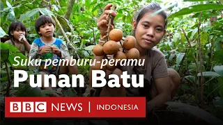 Suku pemburu-peramu Punan Batu: Bertahan di hutan atau bertarung melawan zaman - BBC News Indonesia