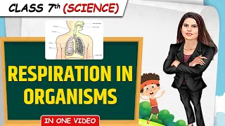Respiration in Organisms || Full Chapter in 1 Video || Class 7th Science || Junoon Batch