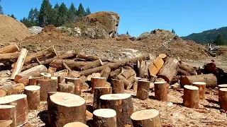 Minute By Minute Raw Wood Cutting Footage No Talking Part 4
