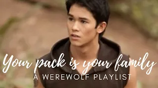 your pack is your family | a werewolf playlist