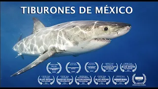 "Tiburones de Mexico" El documental completo.
