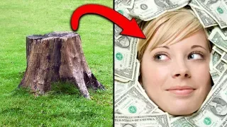 r/Treelaw "He Paid Me $600,000 For Cutting Down a Tree!"