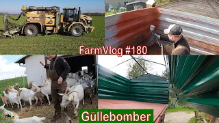 Farmvlog #180: Challenger Terra Gator | HW80 lackieren | Ziegen kommen auf die Weide