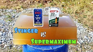 CCI Stinger vs Aguila Super Maximum .22LR Ballistic Gel Test