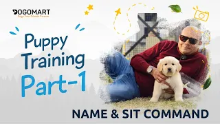 Puppy Training (Part-1) Name & Sit Command | LIVE EXAMPLE | How to Teach in 1 Day? Baadal Bhandaari