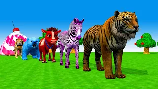 Paint Animals Cow, Tiger, Panther Zebra Bear  Fountain Crossing Animals