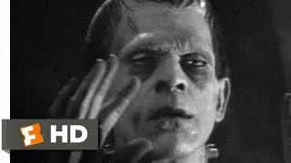 Frankenstein (5/8) Movie CLIP - The Monster Subdued (1931) HD