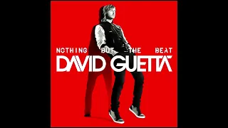David Guetta Feat. Sia - She Wolf [Falling to Pieces] (HQ)