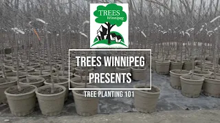 Tree Planting 101