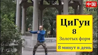 ЦиГун – “Ба Дуань Цзин” 八段锦 - 8 Кусков Парчи