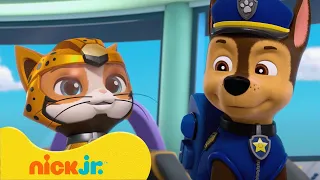 ¡Los Mejores Rescates y Aventura de Cat Pack en PAW Patrol! | Nick Jr. en Español