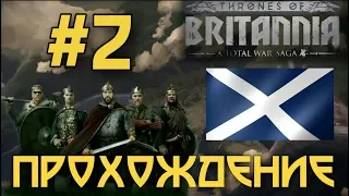 ПЕРВЫЕ ЗАВОЕВАНИЯ. ПРОХОЖДЕНИЕ ЗА КИРКЕНН. TOTAL WAR SAGA: THRONES OF BRITANNIA - #2