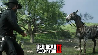 O domador de cavalos - CAPTURANDO a ZEBRA - Red Dead Redemption 2