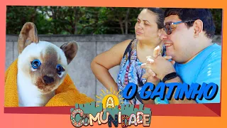 A COMUNIDADE - O GATINHO!