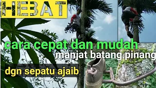 Cara cepat dan mudah, memanjat pinang dengan sepatu ajaib,,