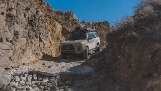 Exploring Big Bend National Park | Living Out of my 4Runner