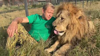 Назначена дата заседания суда по делу прикуса львом Соломиной !