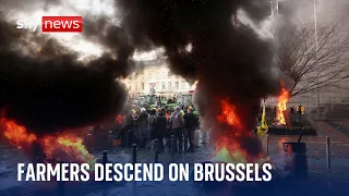 Brussels: Fires erupt as furious farmers protest outside European Parliament