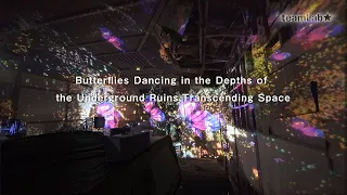 Butterflies Dancing in the Depths of the Underground Ruins, Transcending Space