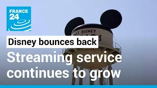 Rollercoasters and The Beatles help to boost Disney's earnings • FRANCE 24 English