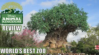 Disney's Animal Kingdom Review, Walt Disney World Theme Park & Zoo | World's Best Zoo