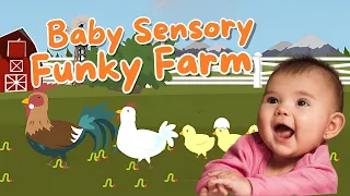 Funky Farm Chickens Baby Sensory Video